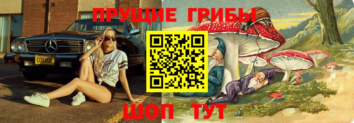 Галлюциногенные грибы прущие грибы Медногорск