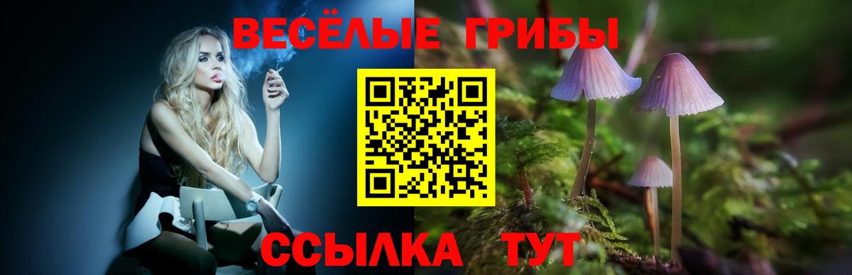 Псилоцибиновые грибы ЛСД  Вход с VPN  Галлюциногенные грибы прущие грибы  наркотики  Медногорск 